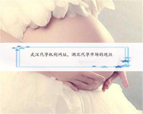 武汉代孕机构网址，湖北代孕市场的现状