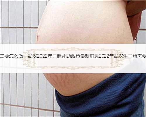 武汉代孕需要怎么做，武汉2022年三胎补助政策最新消息2022年武汉生三胎需要什