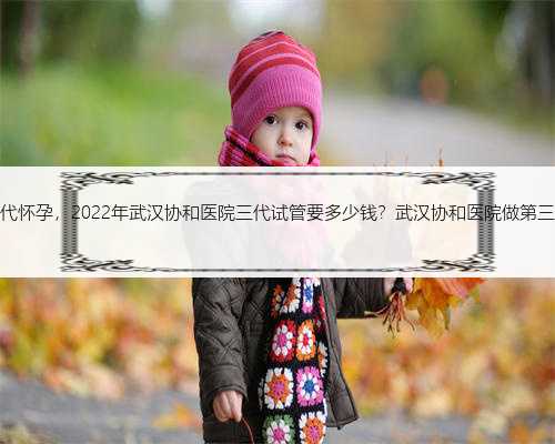 武汉试管二代怀孕，2022年武汉协和医院三代试管要多少钱？武汉协和医院做第