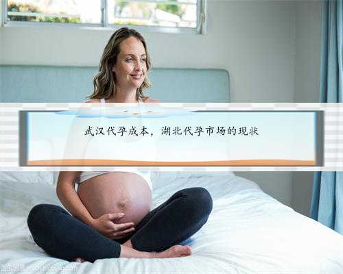 武汉代孕成本，湖北代孕市场的现状