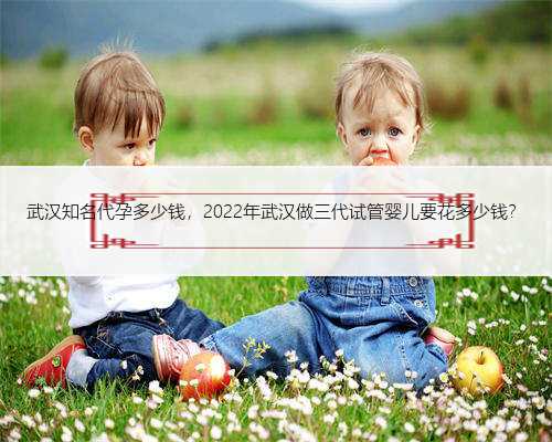 武汉知名代孕多少钱，2022年武汉做三代试管婴儿要花多少钱？