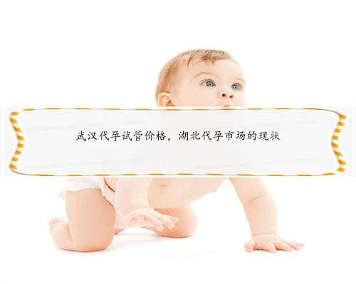武汉代孕试管价格，湖北代孕市场的现状