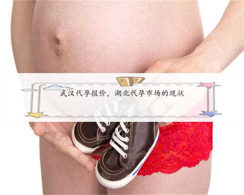 武汉代孕报价，湖北代孕市场的现状