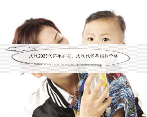 武汉2023代怀孕公司，武汉代怀孕捐卵价格
