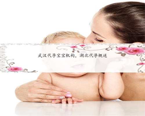 武汉代孕宝宝机构，湖北代孕概述