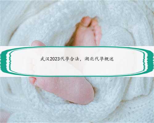 武汉2023代孕合法，湖北代孕概述