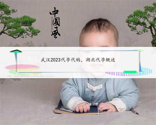武汉2023代孕代妈，湖北代孕概述