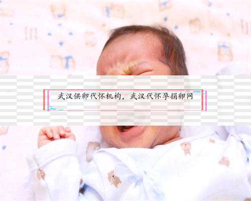 武汉供卵代怀机构，武汉代怀孕捐卵网