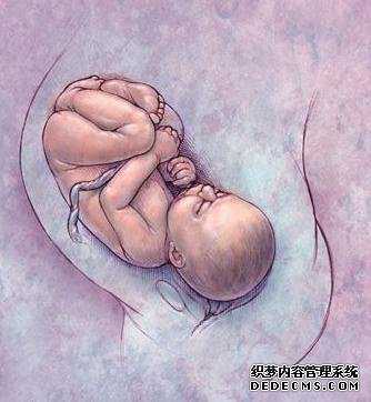 武汉代孕合法吗-武汉代生费用-【武汉代孕，希望在这里诞生】