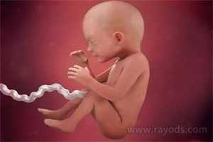 武汉代生费用包生，〔周末姿势〕孕11-14周胎儿超声筛查的临床意义！