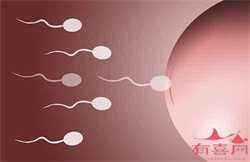 武汉试管供卵一次成功率，做试管婴儿还会发生宫外孕吗?