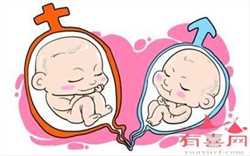 武汉正规供卵费多少钱，纵隔子宫患者可以做试管婴儿吗？