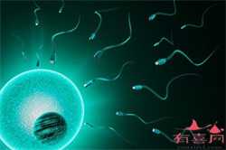 武汉医院供卵如何排队，哮喘怀孕会影响胎儿吗