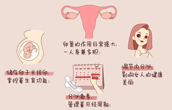 武汉医院供卵需要多少钱，婴儿湿疹是怎么引起的这样做可以预防婴儿湿疹