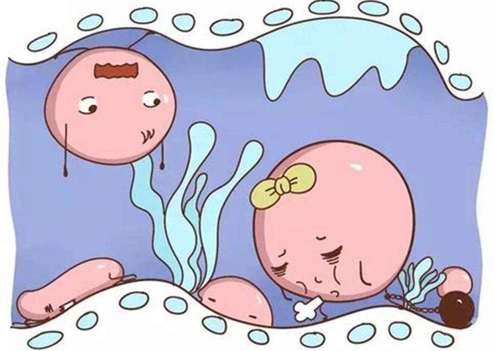 超冷的怀孕冷知识：和卵子结合的，不是最快的精子？父母都应知道