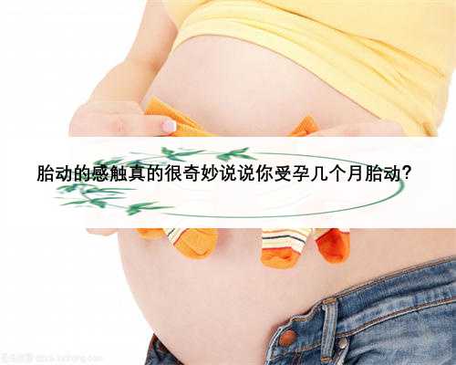 胎动的感触真的很奇妙说说你受孕几个月胎动？